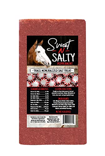 Kalmbach-Feeds-Sweet-N-Salty-Peppermint-Flavored-Salt-Treat-Brick-for-Horses-4-lb