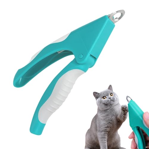 Huxibai Lpܐ؂,O[~O͂ SK[ht | Lp܃Nbp[,q qL ^ ^ ^  ƒ s V[p