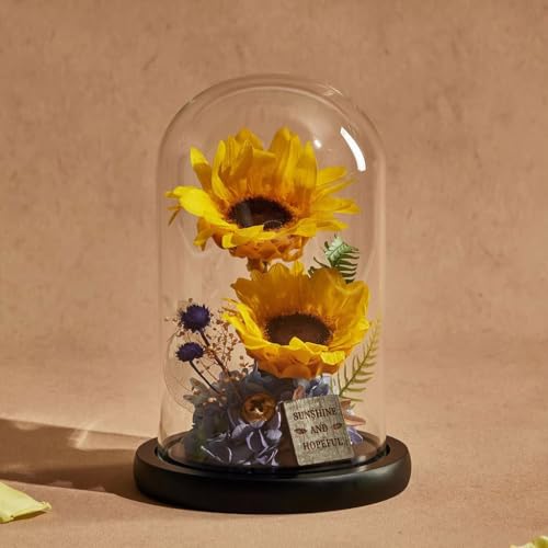 LEIYTFE Girasol Preservado En Campana De Cristal Aniversario, Cumpleaños, San Valentín Regalos para Tu Mujer, Elegantes Arreglos Florales Frescos para Enviar Amor En Cualquier Ocasión(Design 5)