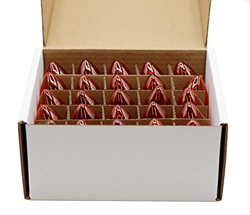 Creative-Hobbies-Transparent-Orange-C7-Light-Bulbs-7-Watt-Steady-Burning-Candelabra-Base-Ideal-for-Halloween-Pumpkin-Lights-Christmas-Box-of-25 Creative Hobbies Transparent Orange C7 Light Bulbs 7 Watt Steady Burning Candelabra Base Ideal for Halloween Pumpkin Lights Christmas Box of 25