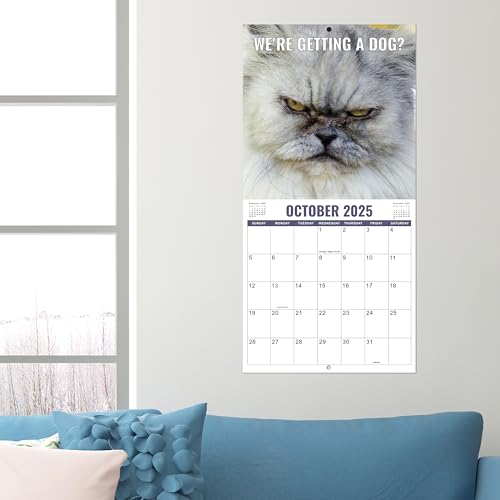 Calendário de parede 2025 – Calendário de gatos engraçados 2025, 30,5 cm x 61 cm (aberto), janeiro d