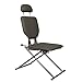 Minerva Portable Shampoo Facial Eyebrow Waxing Makeup Chair in Gray