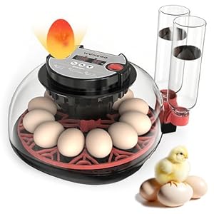 12 Egg Incubator for Hatching Eggs, Automatic Turner with Digital Temperature Humidity Control, 360° Clear View Lid, Auto Water Refill & Built-in Candler for Chicken Duck Quail Birds