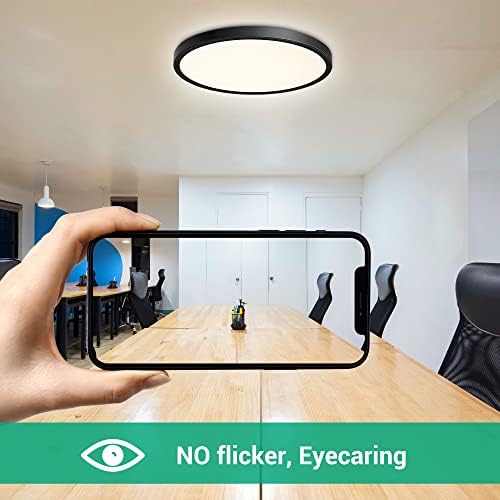 EDISHINE LED Ceiling Light for Living Room, 18W Dimmable Black Ceiling Lights with Remote Control, Ultra-Thin Flush Mount for Bathroom,φ23x2.1cm, 2700-6000K, 1620LM, Timer Function
