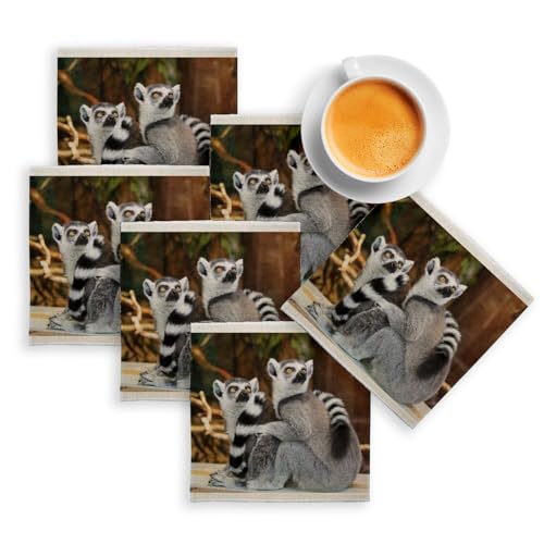 sous Verre en Lin - Couple de Lemuriens Madagascar Primate Rare Animaux Sauvages - Lot de 6 (100 x 100 mm)