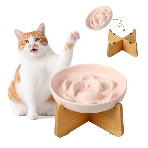 Hh~ L H  t[h{E  M ^ ybg GT {E a Lp M f߂y N aM  X[tB[_[ H׉߂h~ | ̂H X^ht hrV[t oii` PFv[g d