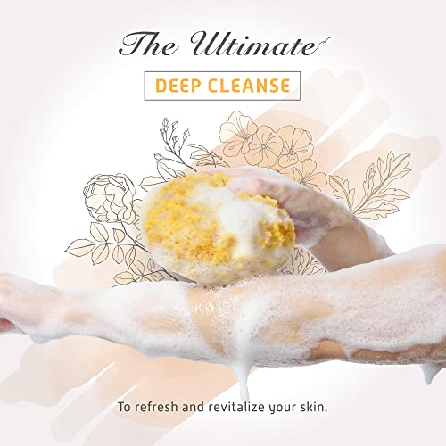 Spongentle Ultra Soft Body Sponge, for Bath and Shower, Multiple Textures for Gentle Cleansing and Deep Exfoliation, Generous and Rich Lather, for All Ages (Body Sponge Ultra Soft (3 Pieces))