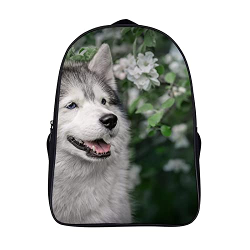 Sac à dos d'école Husky : le cartable stylé pour les cours et les sorties