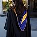 Endea Graduation Masters Hood for Business, Accounting, Commerce, Industrial, Labor Relations, College Degrees - Unisex (Drab/Navy Blue/Gold)