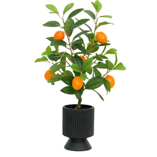 Quirix lHϗtA IWc[ 150cm tFCNO[ ^ lHA  G} CeA  A ϗtA tFCN p Ă₷ {̂悤 lϗtA A tFCN O[ ϗtA  rO I