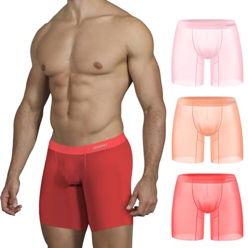 Meshal Men's Trunks Underwear Comfortable Sexy Low Rise Bulge Pouch Boxer Briefs See-Through