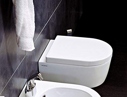 WC-bril voor Flaminia Link zoals origineel, met thermo-rol, wit, scharnieren van roestvrij staal normaal of langzaam, scharnieren / sluiting: slow (Soft Close WC-bril voor Flaminia Link zoals origineel, met thermo-rol, wit, scharnieren van roestvrij staal normaal of langzaam, scharnieren / sluiting: slow (Soft Close