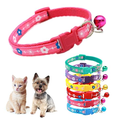 zbgsN ^̎ xtA L  ̎q 킢 t@V[ q̎ t XXS XS ȎqL ybg  A 7-12C`