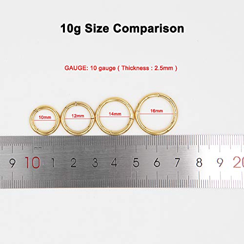 Image of FANSING Men Women 316L Surgical Steel Hinged Nose Rings Hoop for Nostril Septum Cartilage Helix Daith Tragus Rook Conch Lip Ear Lobe Piercings