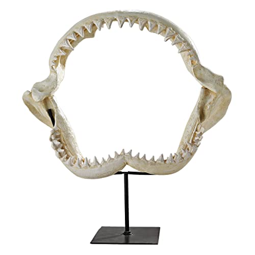 Design Toscano Sharks Jagged Jaws Statue