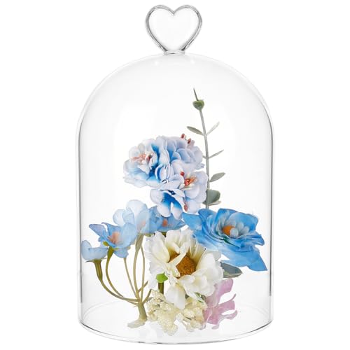 BENECREAT Campana de cristal de 120 x 190 mm,...
