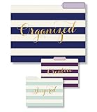 Eccolo World Traveler Set of 9 File Folders, Organized Wide Stripes (T617B)