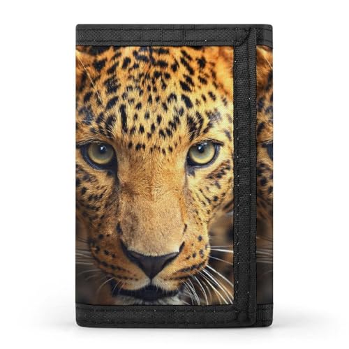 [YINGDAB] O܂z qE ^ ^ ~jz J[hP[X z D fB[X Y J[h K Wallet  RpNg e ^ v[g