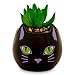 Toynk Disney Hocus Pocus Binx is My Boo 3-Inch Ceramic Mini Planter with Artificial Succulent | Small Flower Pot for Crafts, Faux Indoor Plants for Desk Shelf, Home Decor Trinket Tray