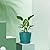 UOUZ Plant Pots Bulk, 6 Pack Plastic Planters with Drainage Holes and Saucers for Indoor Outdoor House Plants and Flowers