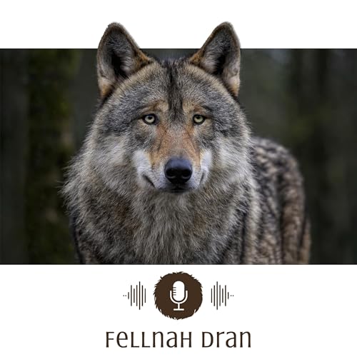 #10: Der Wolf im Fadenkreuz der Politik