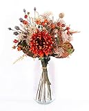 artplants