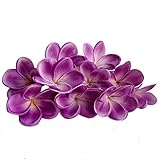 10PCS Natural Real Touch Artificial Not Silk Plumeria Flowers Head with Stem for DIY Cake Decoration and Wedding Bouquets (Purple)