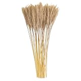 matches21 HOME & HOBBY