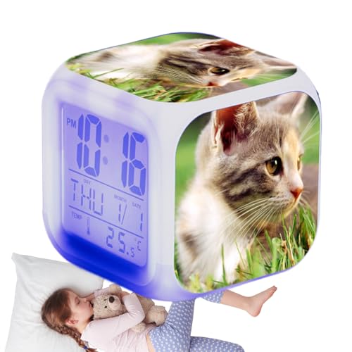 L̖ڊo܂v ? LbYfW^v | PPf ? Jtł킢fBXvCAڊo߂̕׋AxeԂɑ傫ȃtHgŊyQ̑Aj̎qA̎qB