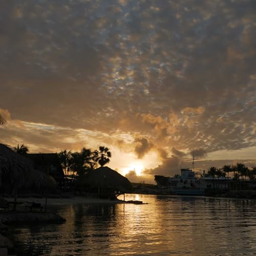 animais t&ecirc;m religiosidade? abelhas otimistas e contagiantes! viva Italo Calvino!