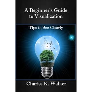 A Beginner's Guide to Visualization Audiolibro Por Chariss K. Walker arte de portada