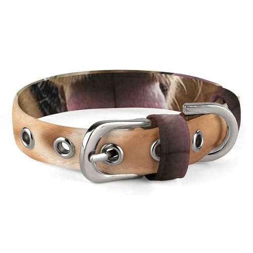 Collier réglable Golden Retriever évite traction chiens chats - 2