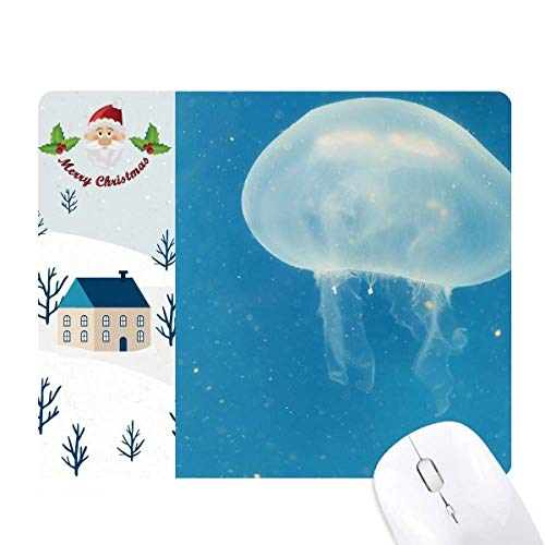 CmNQȊw͎R̎ʐ^ T^N[XƉS̃}EXpbh