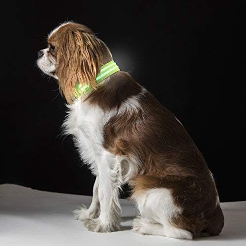 Besser Products Dual LED Dog Collar - for Night Walk Visibility and Safety - Waterproof, USB Rechargeable, Up to 16 Hour of Power Per Charge