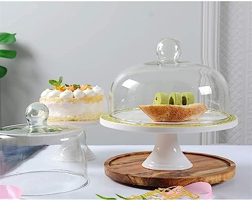Couverture de conservation en verre et assiette d'exception