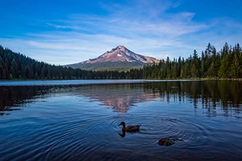 Landscape Photography Print (Not Framed) Picture Of Mount Hood Overlooking Trillium Lake On Summer Evening In Oregon Pacific Northwest Wall Art Nature Decor 4X6 To 40X60 #TOP5