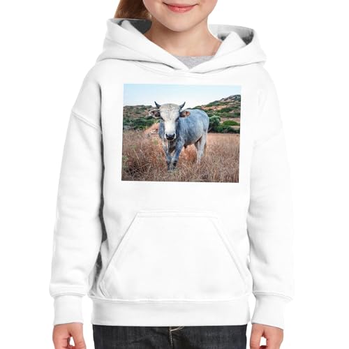 Sweat à capuche enfant vache grise une idée cadeau originale nature