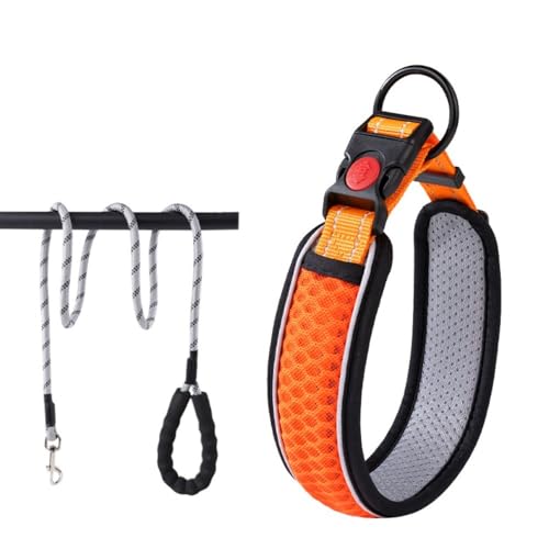 Collar reflectante para perro con neopreno suave XS