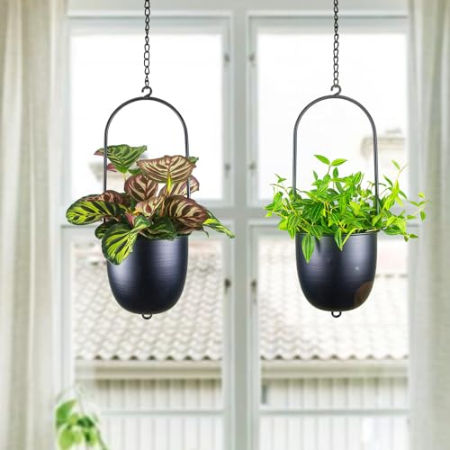 Image of Metal Hanging Planters Set of 2 with 6 Inch Oval Pots - Stackable and Connectable Plant Hangers - Black Modular Wall and Ceiling Mount Holders for Indoor and Houseplants