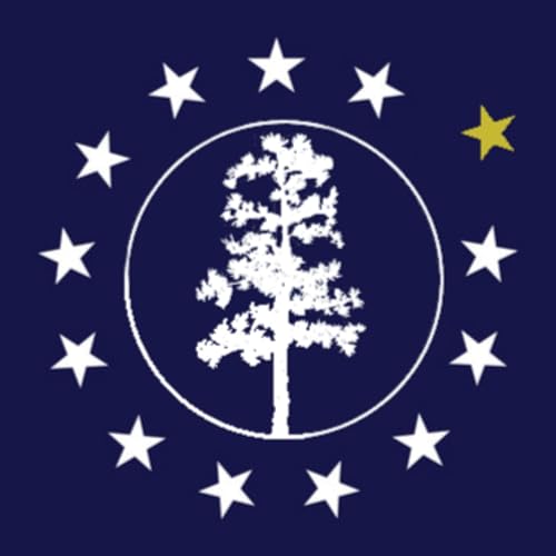 What Happened? Brown, Bondi, and U.S. Troops Killed in Syria | Destroyercon Show Episode 4