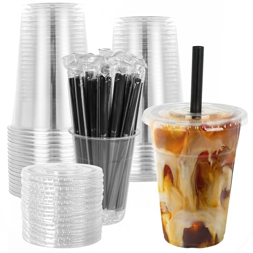 lucdnc 16oz Disposable Clear Plastic Cups with Lids and Smoothies Straws Party Drinking Cups for Milkshakes Cold Coffee-25 Sets