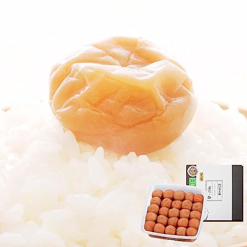 ~ ݂͂ I IBY썂~ 6 (600g) Y ݂͂~ a̎R