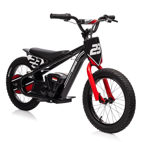 GarveeLife Kids Electric Balance Bike, Electric Dirt Bike for Kids Aged 6-12, 250W Electric Motorcycle, 24V Detachable Battery, 3 Speed Settings & Up to 15.53MPH, 16 in Off-Road Tires, Black