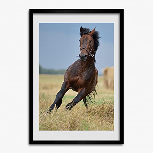 Affiche 50x70 cm peinture tableau moderne avec cadre photo bois MDF cheval de Tulup