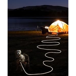 Joytale-Long-Leash-for-Dogs-Training-Leash-with-Removable-Padded-Handle-Double-Hook-15FT30FT50FT65FT-Dog-Obedience-Recall-Training-Agility-Lead-for-Play-Camping-Backyard-Tie-Out-Orange-15FT - Cucciolini Doodles   Joytale-Long-Leash-for-Dogs-Training-Leash-with-Removable-Padded-Handle-Double-Hook-15FT30FT50FT65FT-Dog-Obedience-Recall-Training-Agility-Lead-for-Play-Camping-Backyard-Tie-Out-Orange-15FT