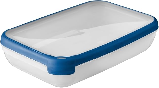 Curver Rectangular 87.9 oz Food Container, Transparent/Blue