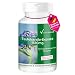 Produktbild Teufelskralle Extrakt Kapseln 1530mg - 180 vegane hochdosierte Kapseln  Harpagophytum | Vitamintrend®