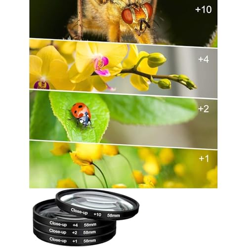 Canon EOS 4000D DSLR con lentes 18-55mm y 75-300mm plus telefoto miniatura 7