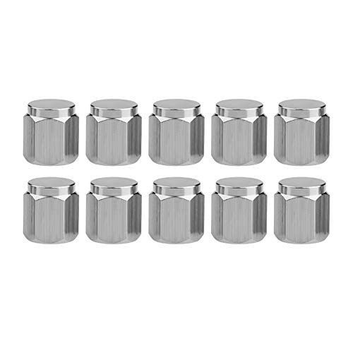Ahomi 10 pcs Chrome en cuivre de Roue Pneu Valve Caps couvertures de poussière pour Auto Moto