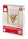 Rayher Bastelpackung Trockenblumen-Strauß im Holzrahmen, in transparenten Scheiben fixiert, Holz FSC zertifiziert, Rahmen rechteckig 17 x 22 cm, Rahmentiefe 4 cm, 85485000
